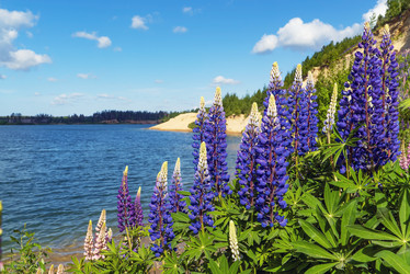 Similar image 21156647