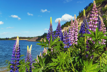 Similar image 21156651