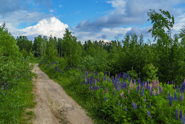 Similar image 21156655