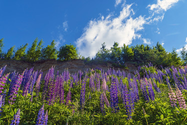 Similar image 21156659