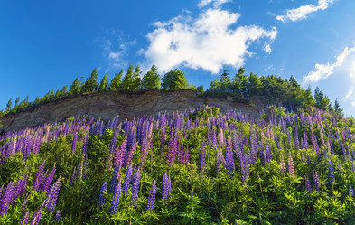 Similar image 21156661