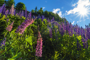 Similar image 21156663