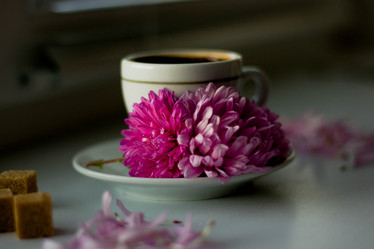 Similar image 21149975