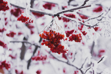 Similar image 21149978