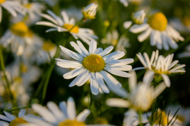 Similar image 21149980