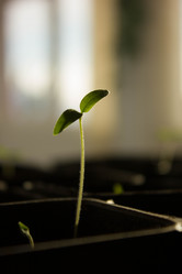 Similar image 21149982