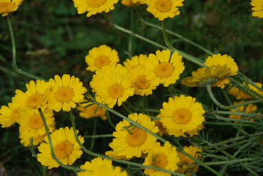 Similar image 21175008