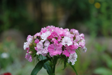 Similar image 21175010