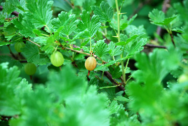 Similar image 21175011