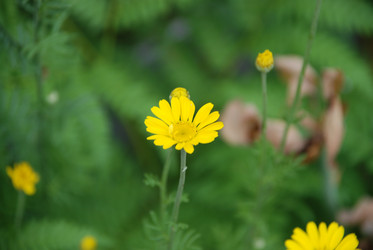 Similar image 21175013