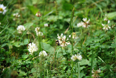 Similar image 21175014