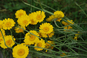 Similar image 21175015