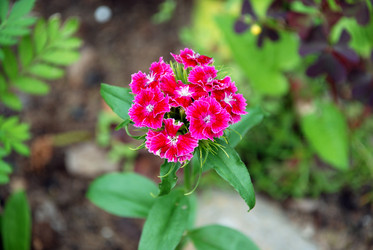 Similar image 21175516