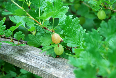 Similar image 21175518