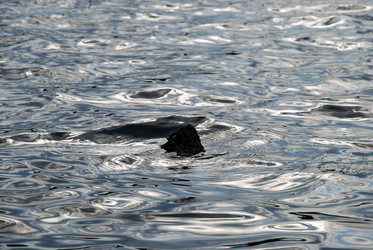 Similar image 21175519