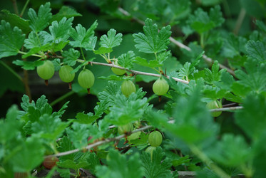 Similar image 21175520