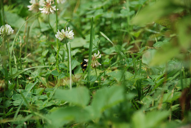 Similar image 21175522