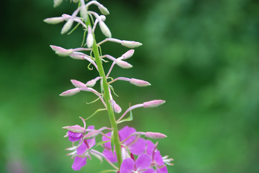 Similar image 21175523