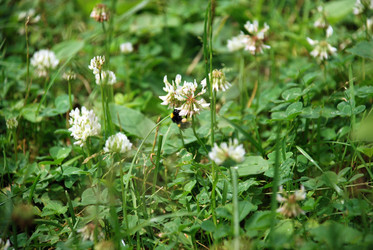 Similar image 21175524