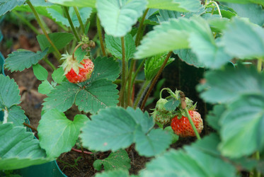 Similar image 21175566