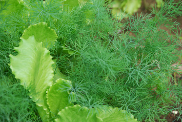 Similar image 21175568