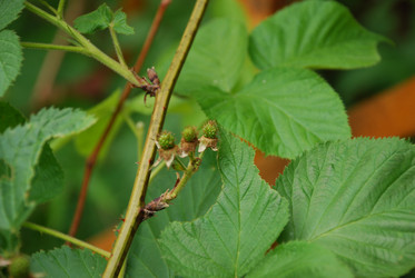 Similar image 21175569