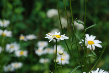 Similar image 21175570