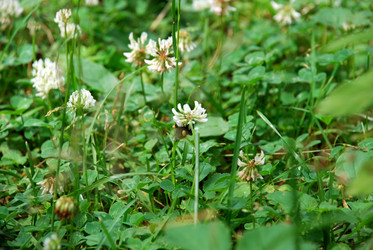 Similar image 21175571