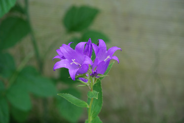 Similar image 21175572