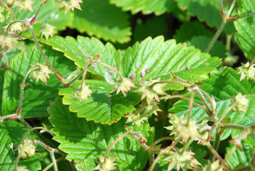 Similar image 21175574