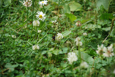 Similar image 21175575