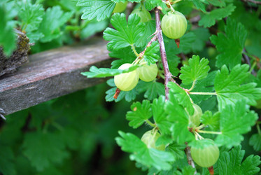 Similar image 21175576