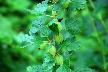 Similar image 21175577