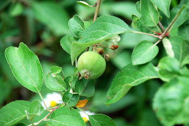 Similar image 21175579