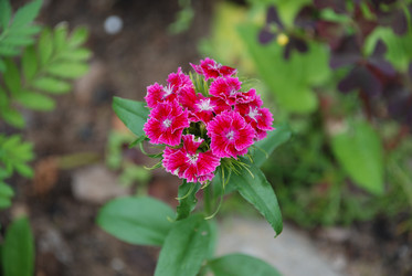 Similar image 21175580