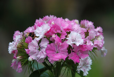 Similar image 21175581