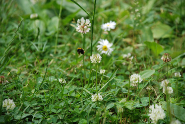 Similar image 21175598