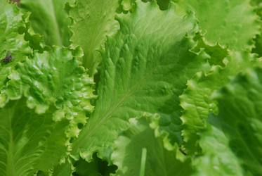 Similar image 21175599