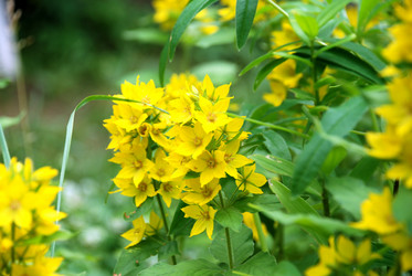 Similar image 21175600