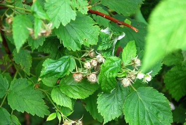 Similar image 21175601