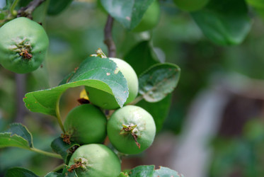 Similar image 21175602