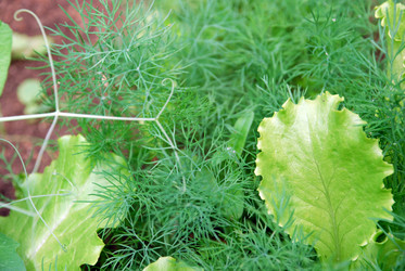 Similar image 21175603