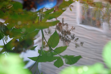 Similar image 21175604