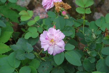 Similar image 21175606