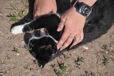 Similar image 21154082