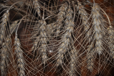 Similar image 21154083