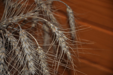 Similar image 21154084