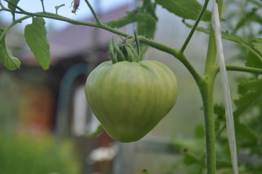 Similar image 21154088