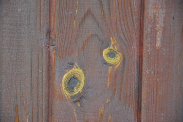 Similar image 21154096