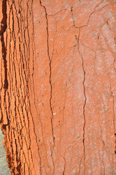 Similar image 21154097